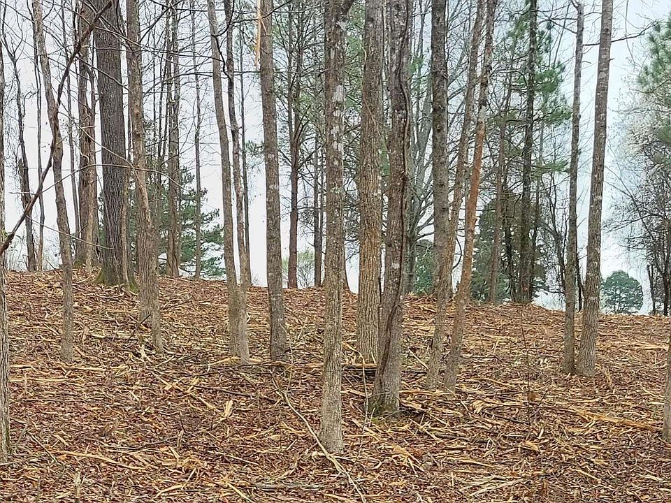 2nd image of 132 Firestone Dr