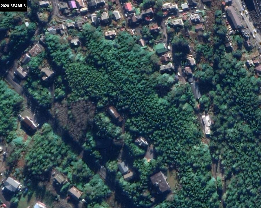 2nd image of 700 Forest Ave