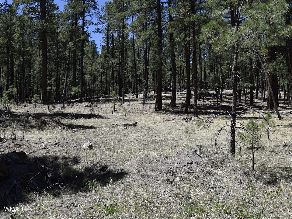 2nd image of County Rd