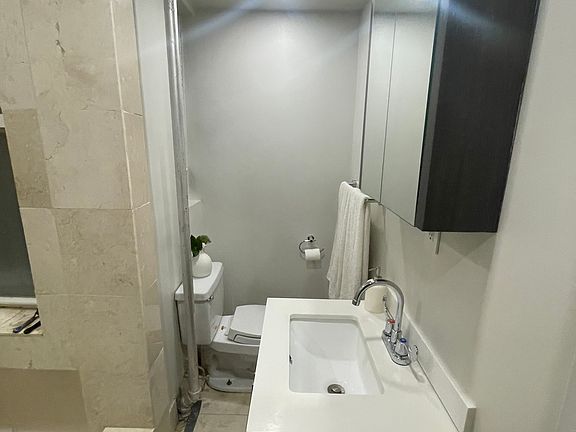 4th image of 173 Ludlow St APT 3B
