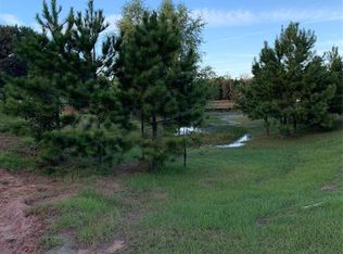 20053 Spring Hill Ln, Porter, TX 77365