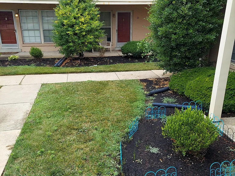 1966 Goldsmith Ln #B5 — Photo 15
