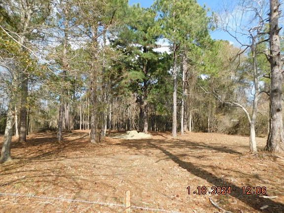2nd image of 19 Country Lake Dr