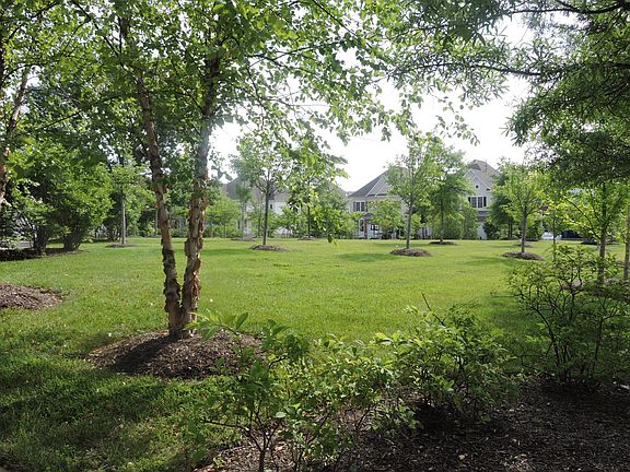 5th image of 5634 Lierman Cir