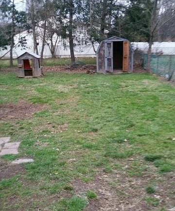 another view of back yard