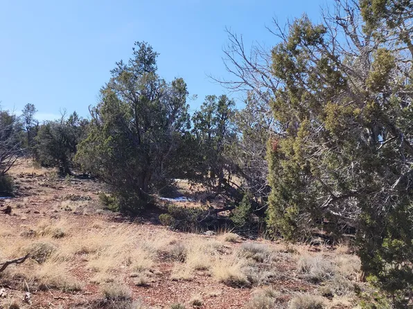 261 Juniper Woods, Ash Fork, AZ 86320