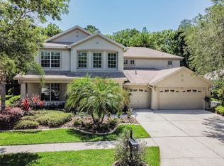 6623 Thornton Palms Dr, Tampa, FL 33647