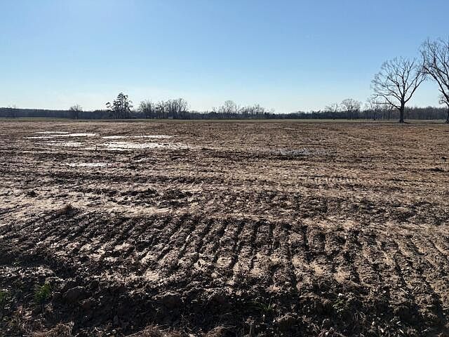2nd image of County Road 90 Lot 11