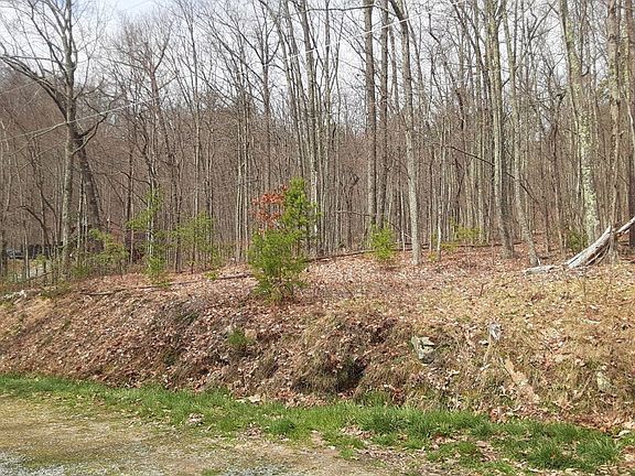 3rd image of 4950 Green Bay Dr Lot 49&50