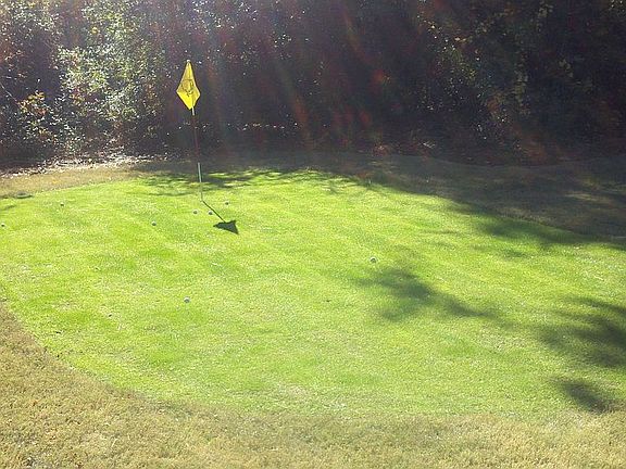 hit balls in your yard