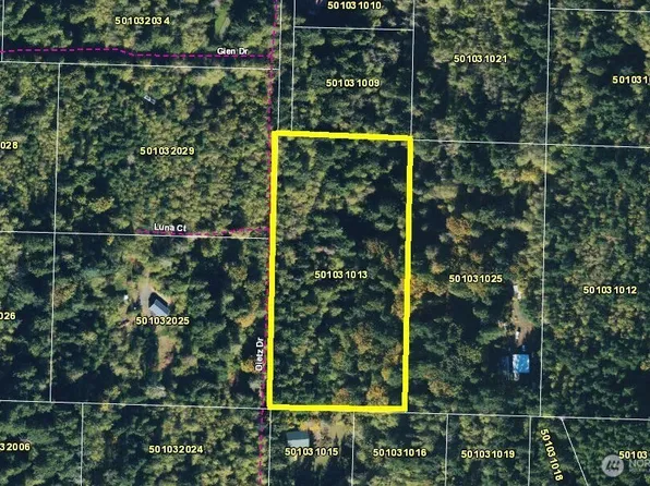 225 NKA Dietz Drive, Quilcene, WA 98376