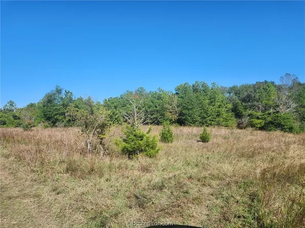 LOT 26 Magnolia Trl, Navasota, TX 77868