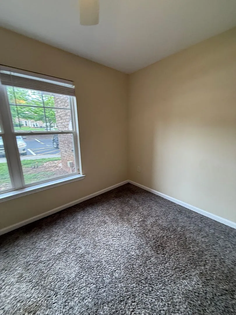 20-2014 Calem — Photo 4