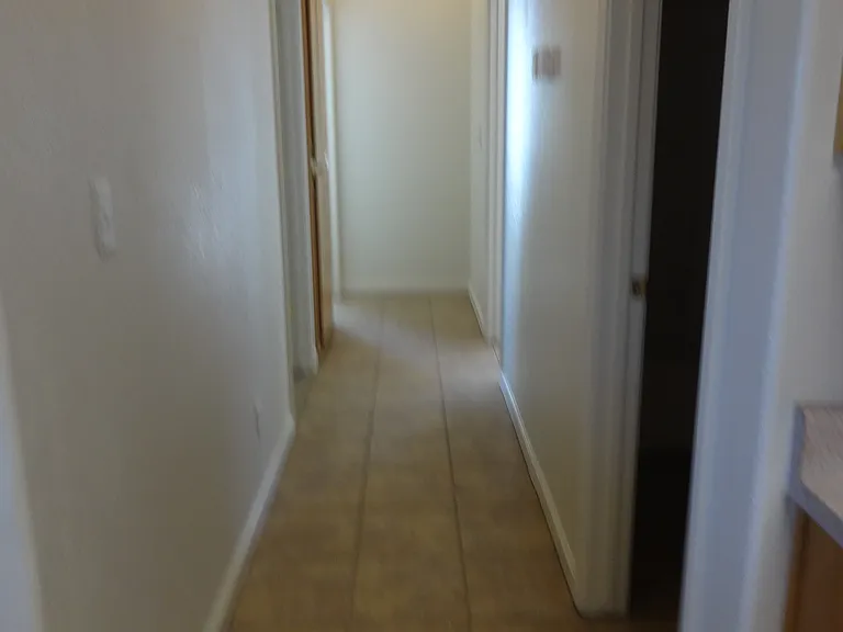 2510 Allen St — Photo 11
