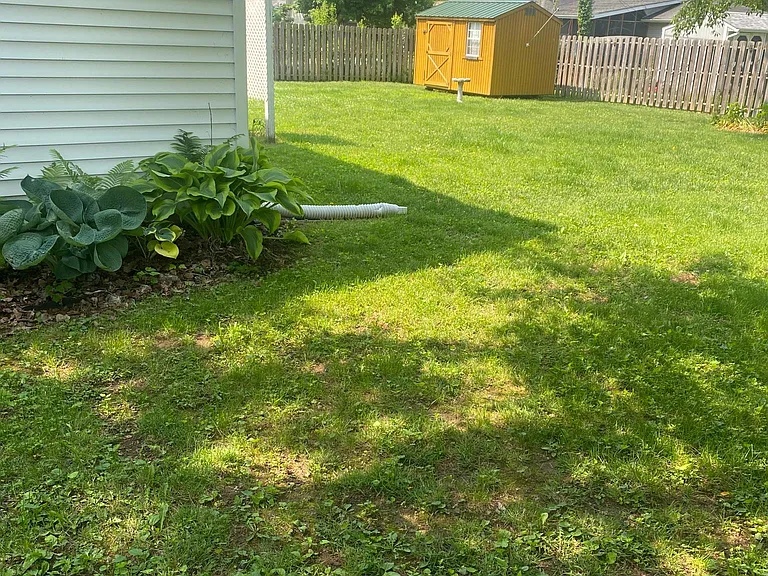 Huge backyard