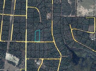 0 Capulin St, Alford, FL 32420