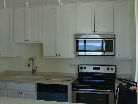 4th image of 70 W Burton Pl APT 1501