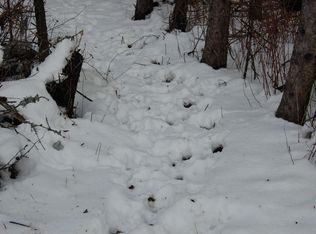 3584 N 45th Rd, Manton, MI 49663