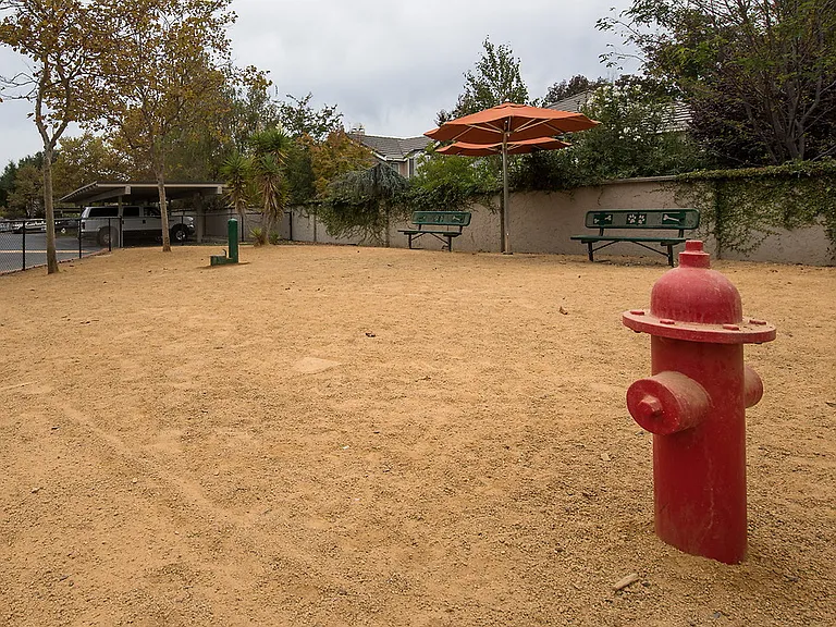 Bel Air — Photo 26