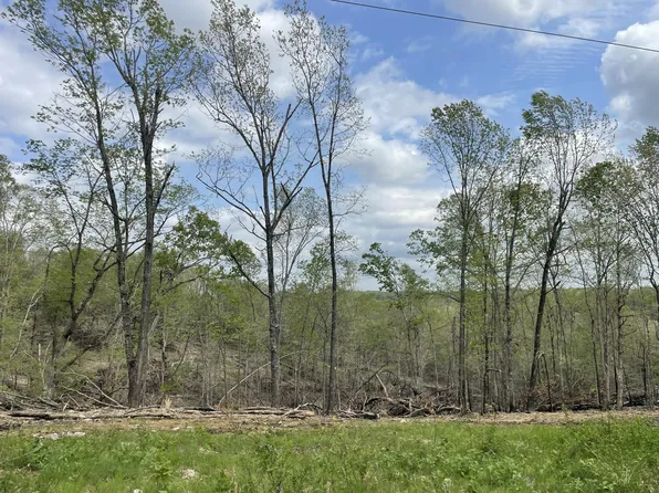 000 St Hwy N Tract F, Ava, MO 65608