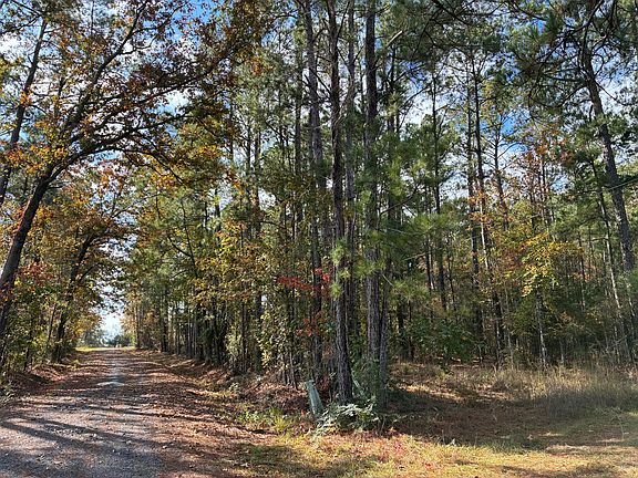 5th image of Section Line Rd