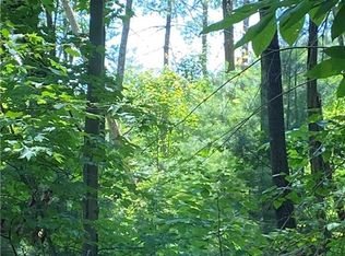 L336 Brushy Top Rd #336, Ellijay, GA 30540