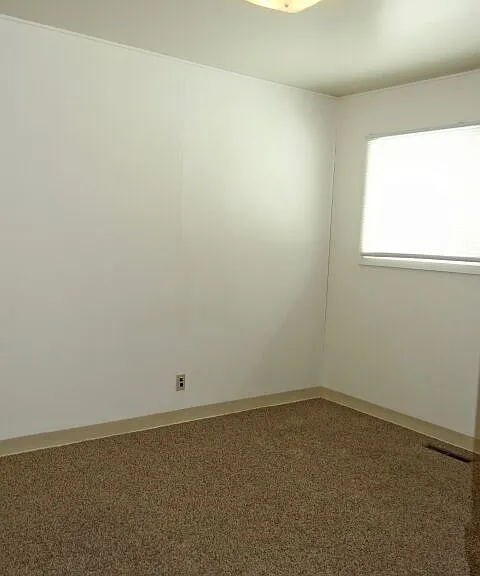 305 1/2 Covert Ln — Photo 4
