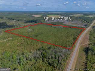 TRACT 2 Kinnett Rd, Jacksonville, GA 31544