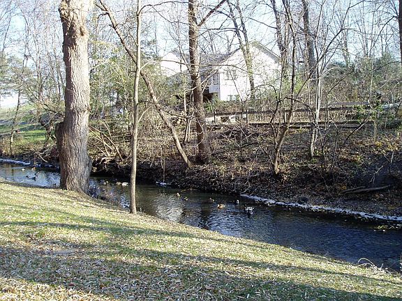 Bassett Creek right out your front door 