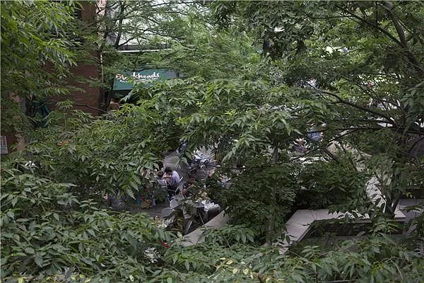 Rented by Marion Bass, Inc. | media 45