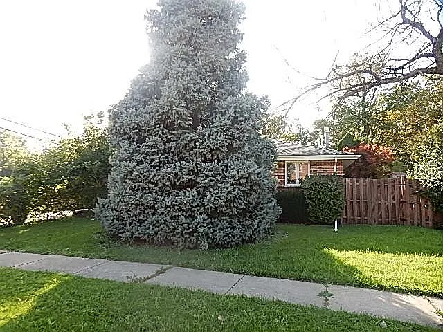 598 Dawn Ct photo 1