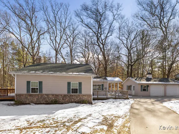 22265 W Hillis Rd, Pierson, MI 49339