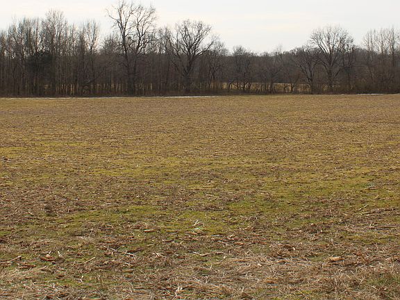 3rd image of 3900 Highway 301 N