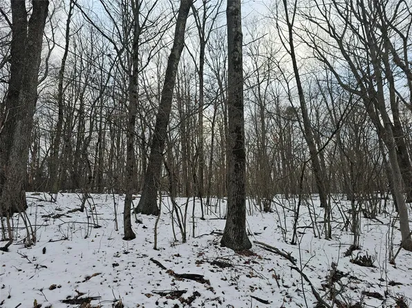 LOT 20.001 Shawanga Lodge Road, Wurtsboro, NY 12790