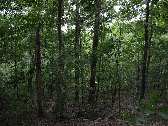5th image of 0 Altamont Forest Dr Lot 19