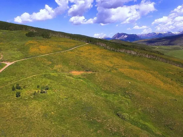 901 Red Mountain Road, Almont, CO 81210