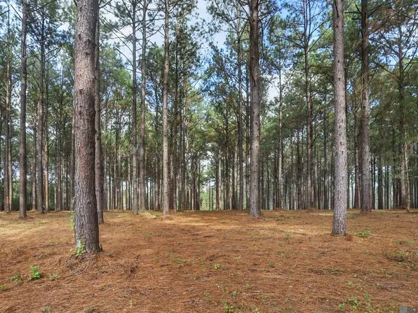 80114 Rosemary Ln, Saint Francisville, LA 70775