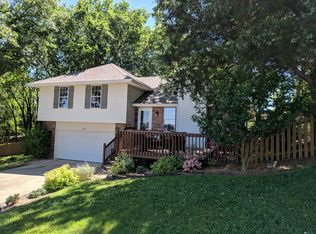 122 Rose Oneill Dr, Branson, MO 65616