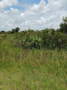 16216 NW 260 Street, Okeechobee, FL, 34972