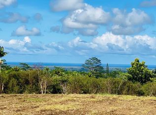 Alaloa Rd, Hilo, HI 96720