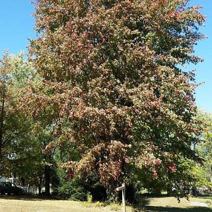 4th image of 7560 Otterbein Trl NW