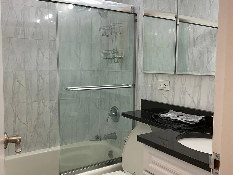 777 N Michigan Ave #1203 — Photo 3
