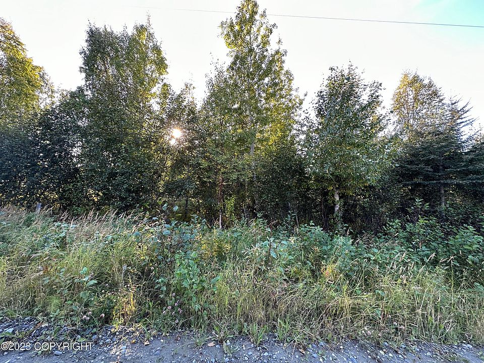 2nd image of 31 Echo Hls