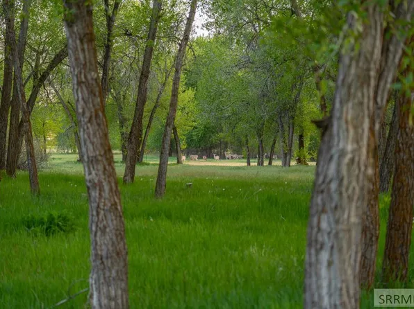 333 N 4440 E, Rigby, ID 83442
