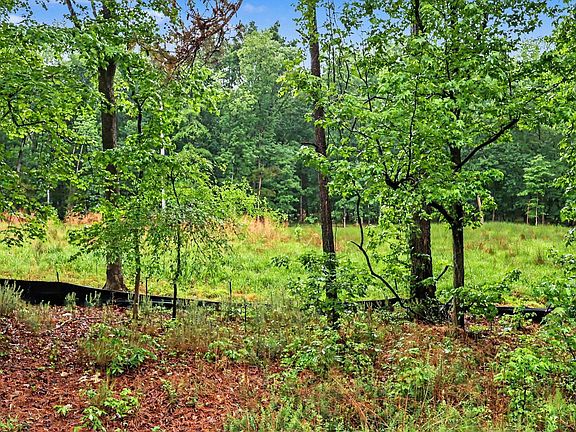 5th image of 2116 Forest Ridge Pl #16