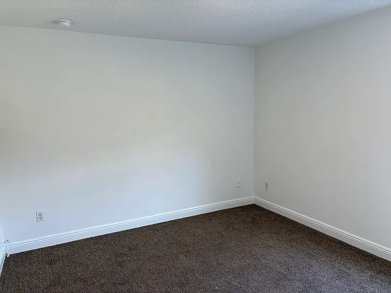438 Palm Dr — Photo 15