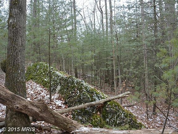 Mixture of hardwoods and interesting rock outcropp