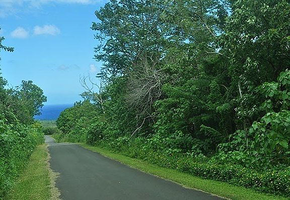 5th image of Kaimu Makena Homeste Lot D-12