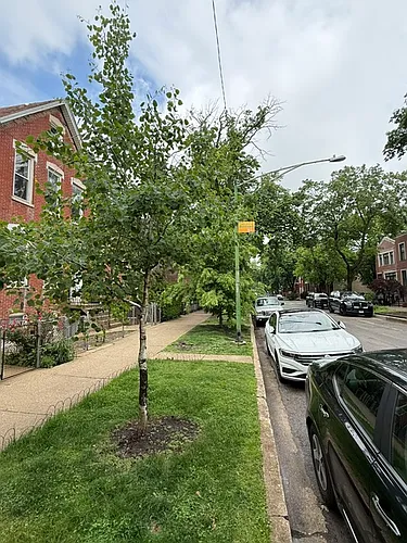 1910 N Leavitt St #G Photo 1
