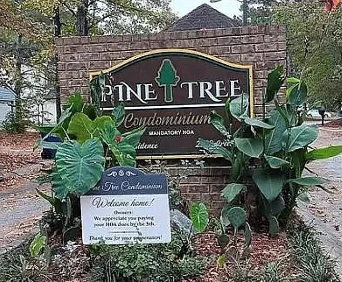 3 bed, 1466 sqft, $1,750 — Photo 3